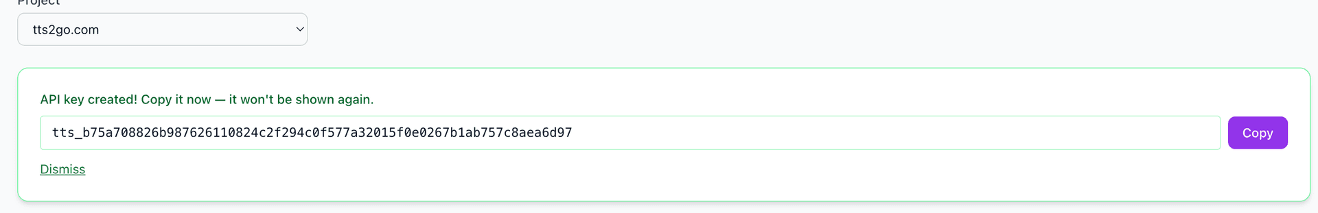 Copy the API key — it is only shown once